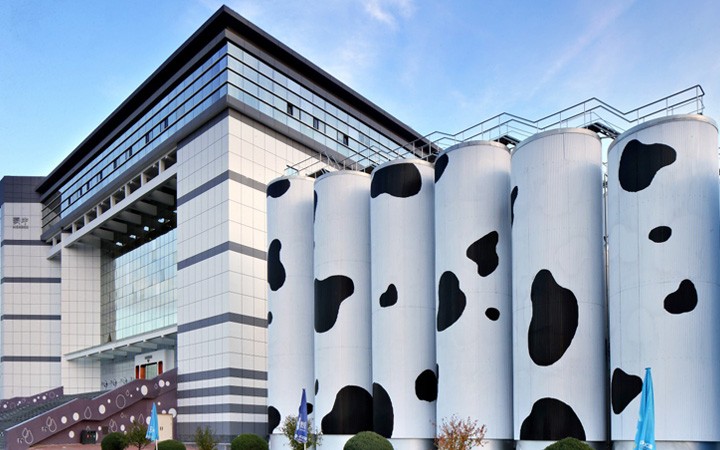 從單一申請到復合業(yè)務委托，三聚陽光贏得蒙牛好評